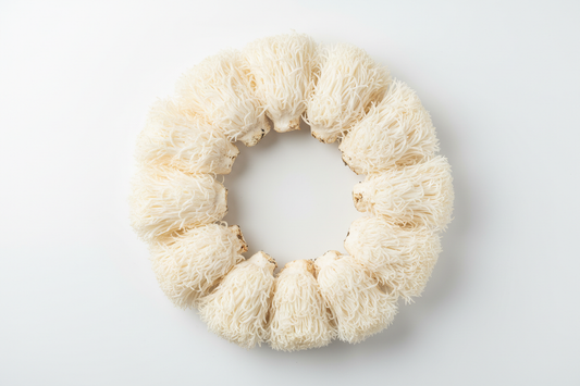 Aslan Yelesi Mantarı Faydaları ve Sağlığa Etkileri