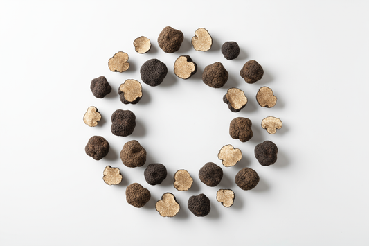 Trüf Mantarı Nedir? Trüf Mantarı Yetiştiriciliği ve Faydaları