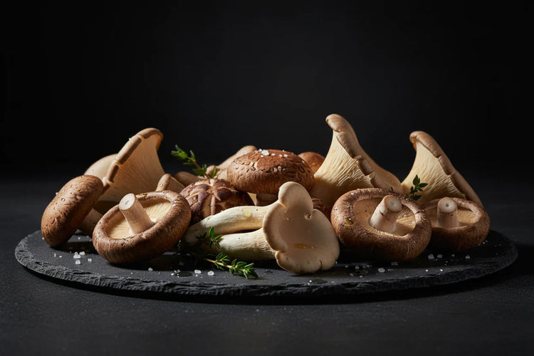 Gurme Mantarlar Serisi