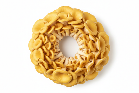 golden oyster mushrooms, elegant, professional shot, white background, create a shot from top, circular proportion
